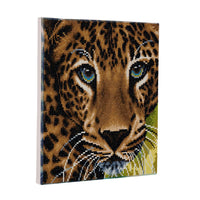 "Leopard " Framed Crystal Art Kit 30 x 30cm (Medium)
