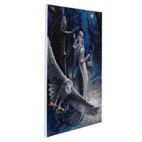 "Midnight Messenger" 40 x 50cm (Large) - Anne Stokes