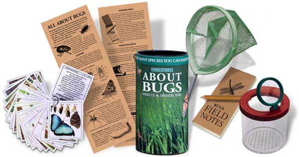 All About Bugs Activity Kit